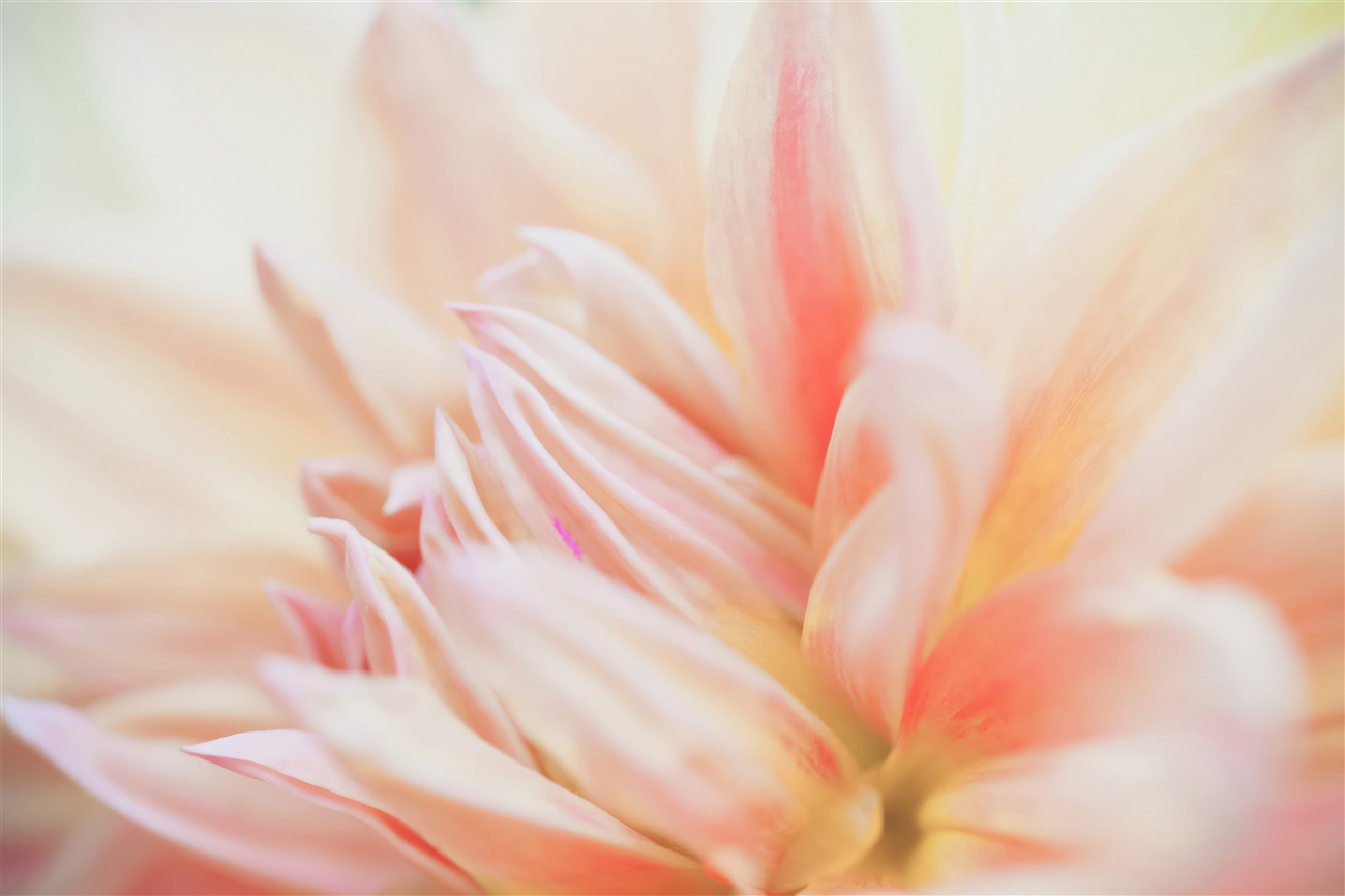 Last Product image
