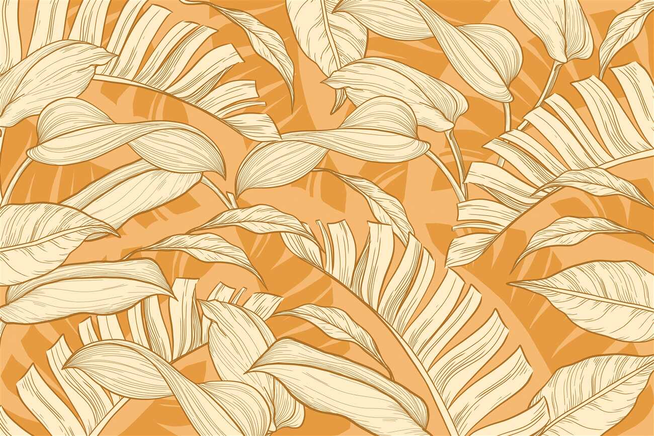 Last Product image