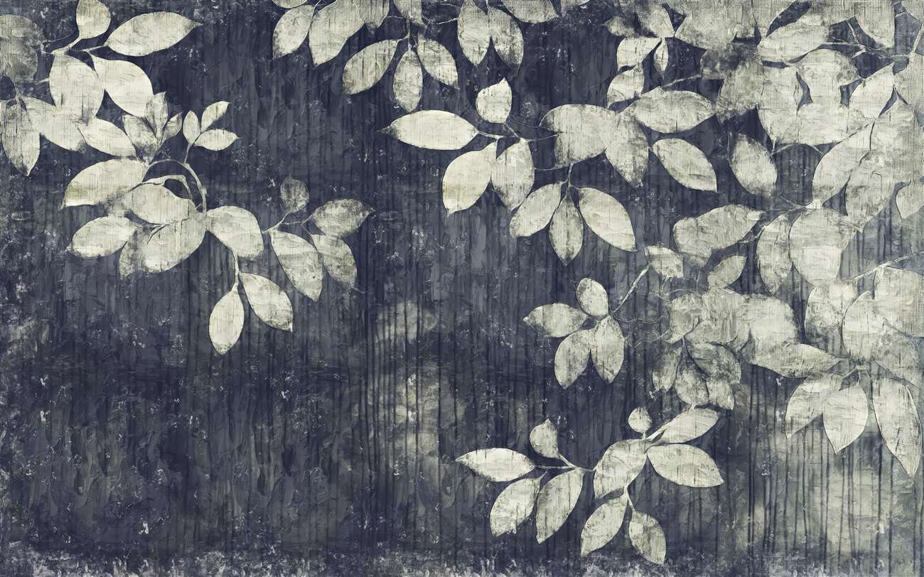 Last Product image