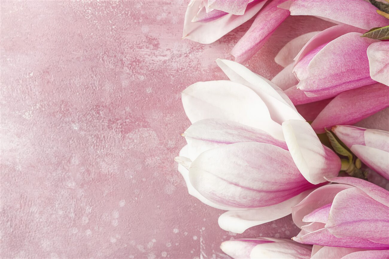 Last Product image