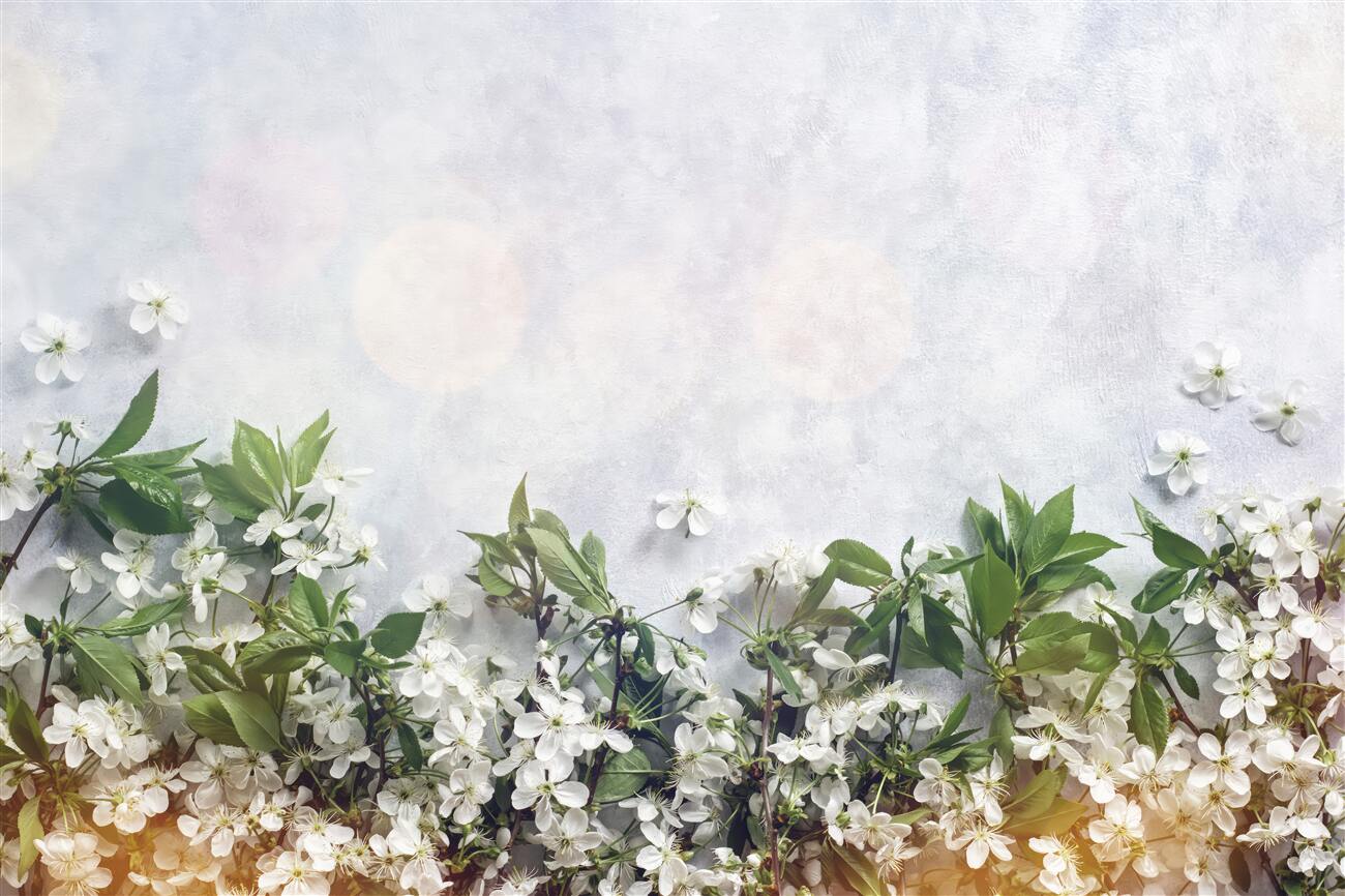 Last Product image