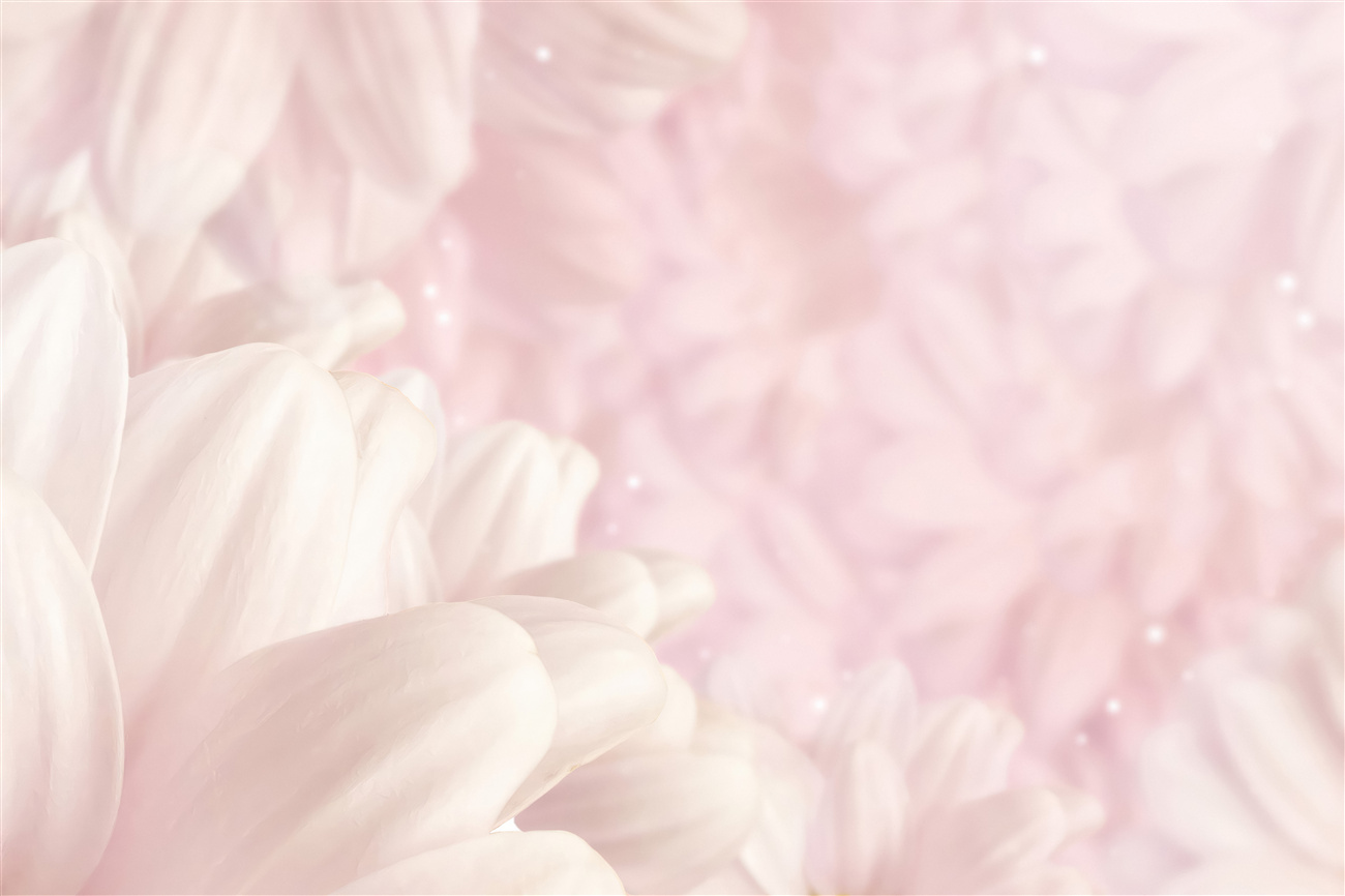 Last Product image