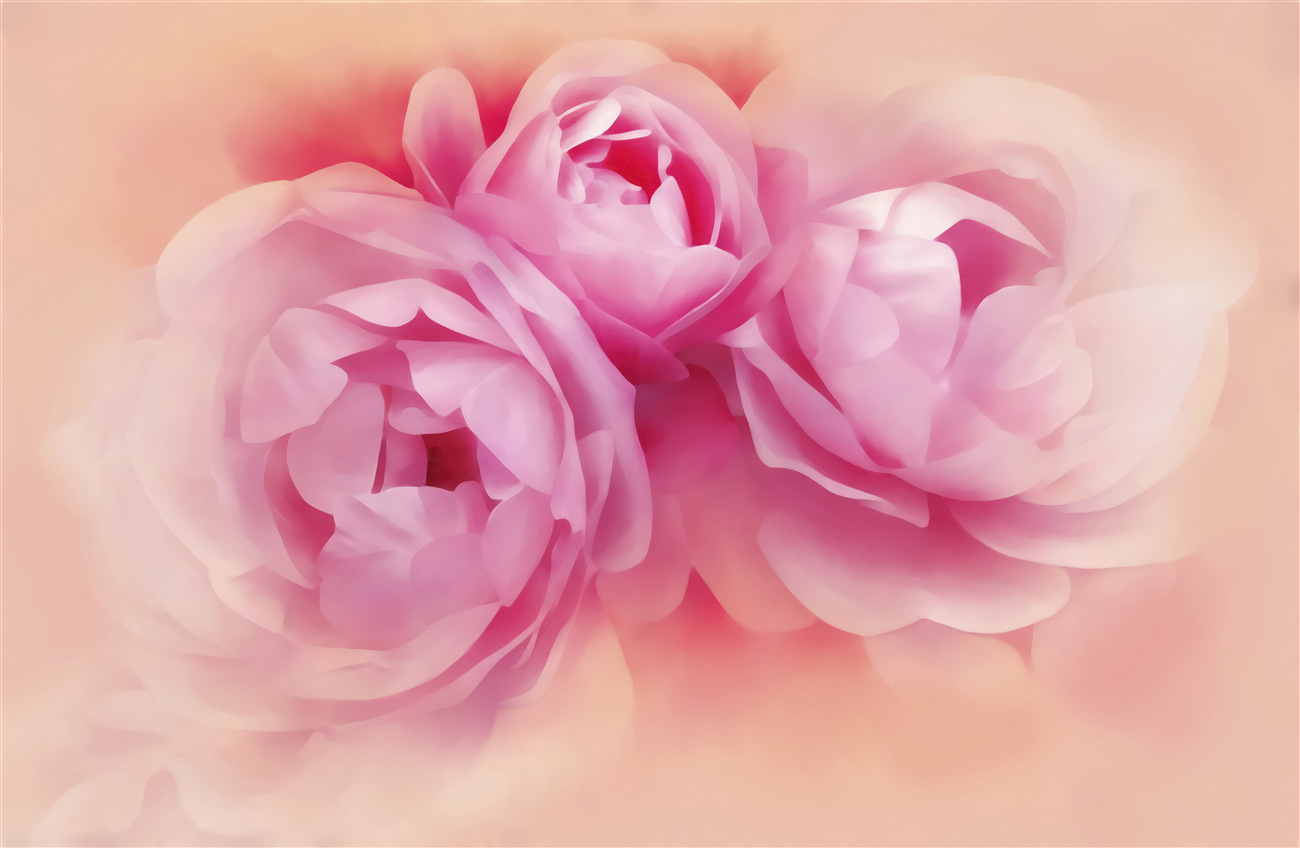 Last Product image