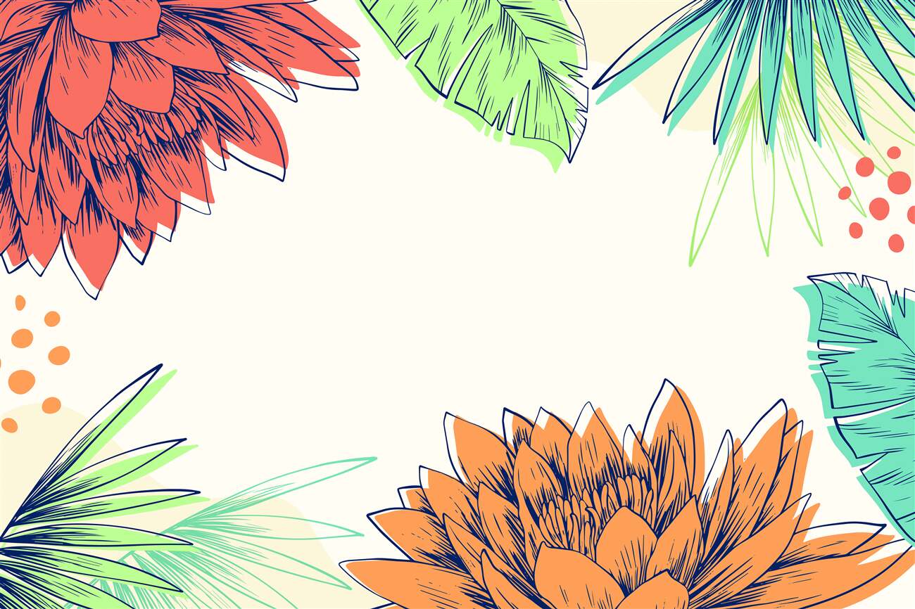 Last Product image