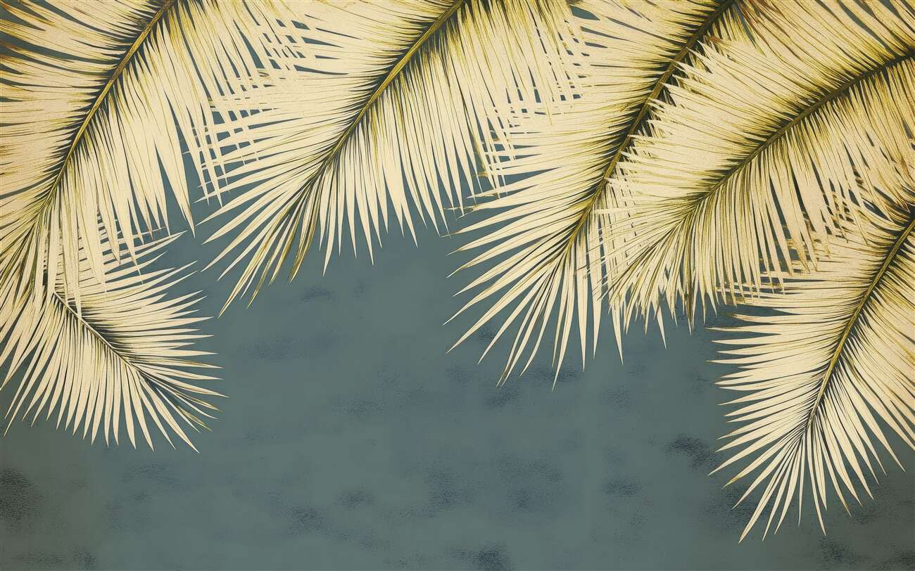 Last Product image